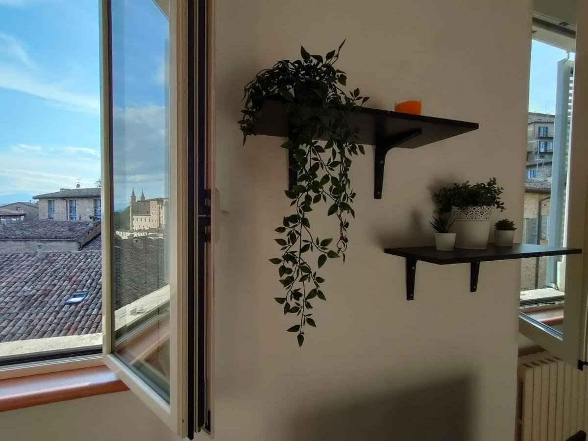 Il Cielo Di Raffaello Daire Urbino Dış mekan fotoğraf